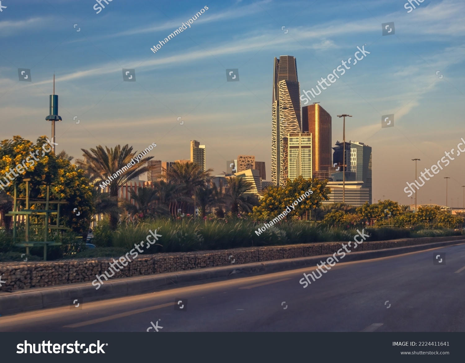 شبكات الرياض الحضرية